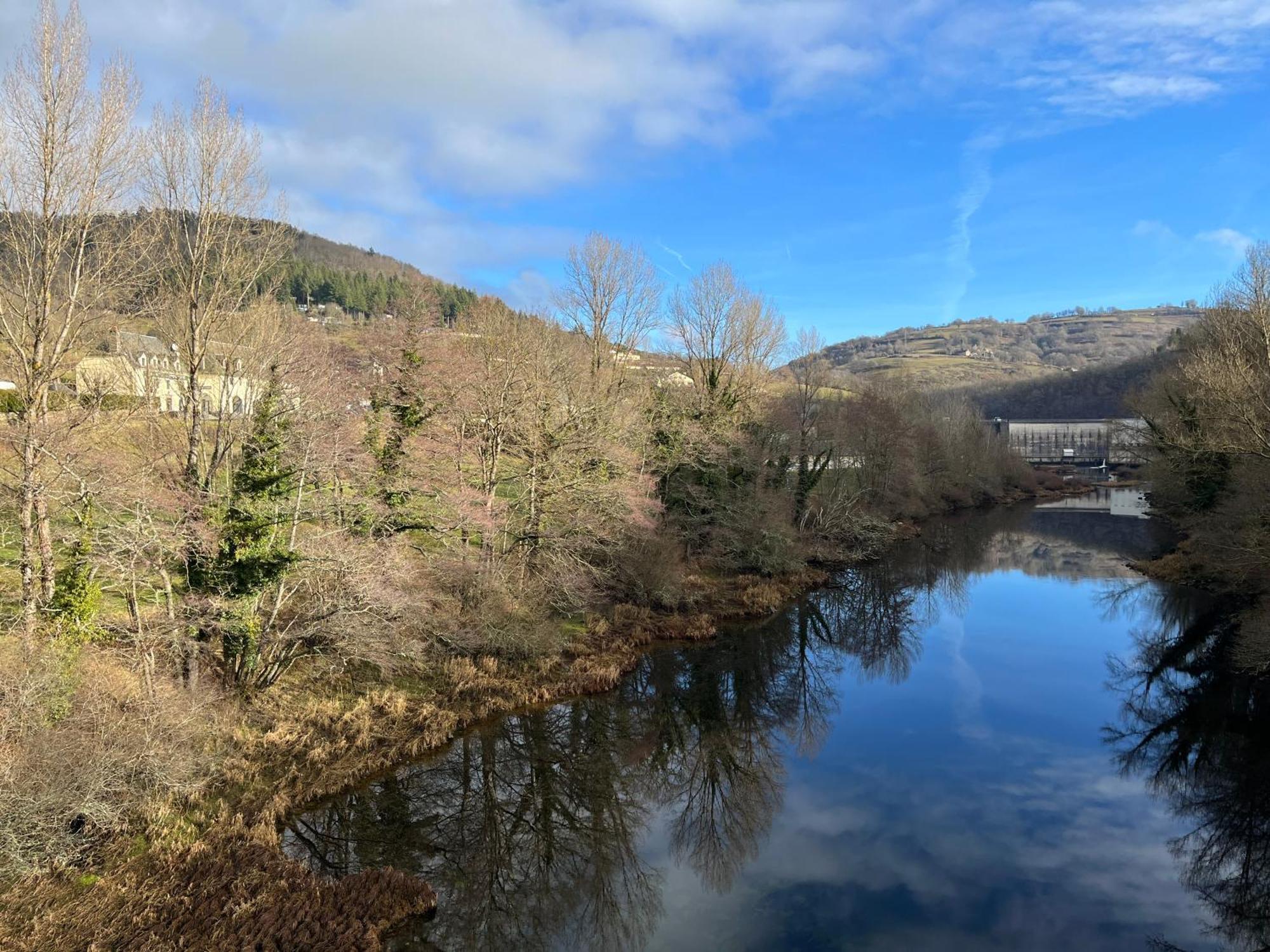 Gite-Auberge Du Pont De Lanau Neuveglise ภายนอก รูปภาพ
